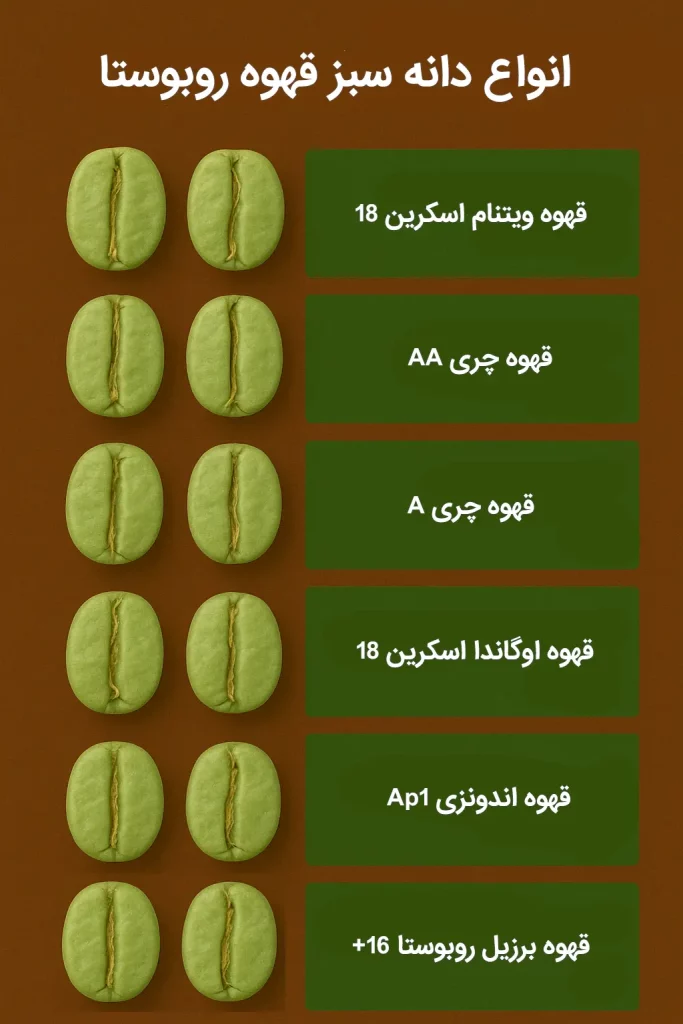 انواع دانه سبز قهوه روبوستا