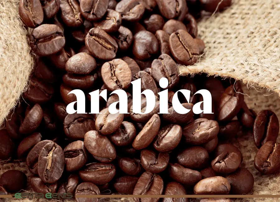 چرا قهوه عربیکا محبوب است؟