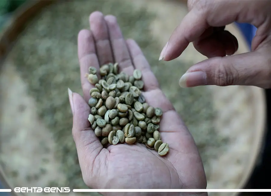 خصوصیات بصری و فیزیکی دان سبز قهوه