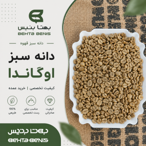 دانه سبز قهوه اوگاندا