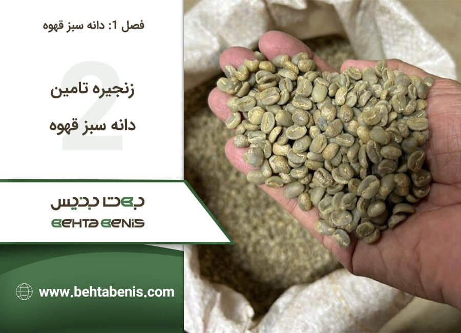 زنجیره تامین دانه سبز قهوه