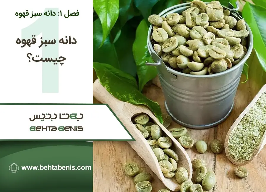 دانه سبز قهوه چیست